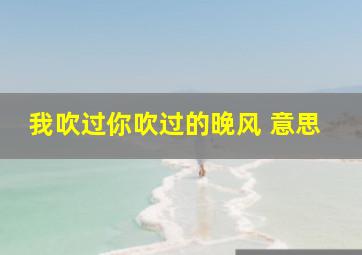 我吹过你吹过的晚风 意思